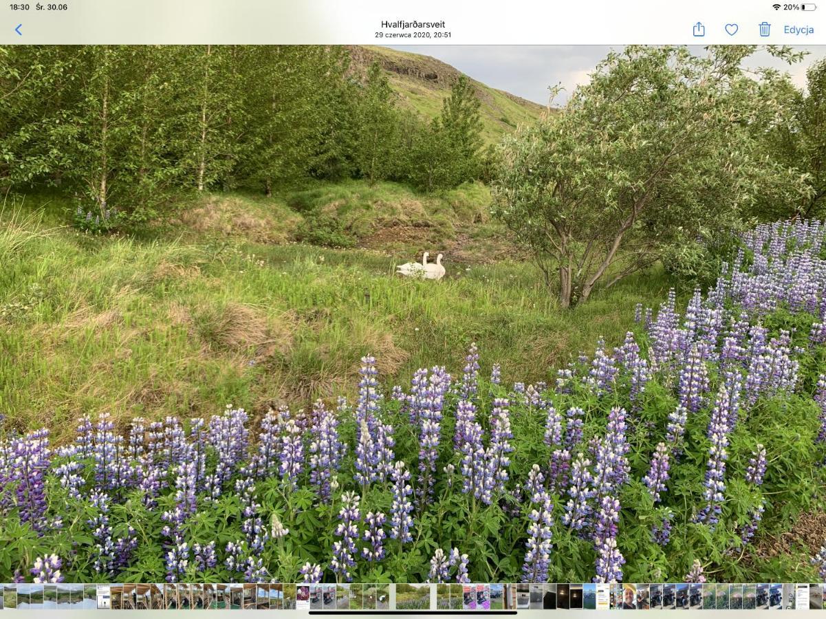 Icelandic Lake House Akranes Exterior foto
